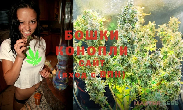 ГАЛЛЮЦИНОГЕННЫЕ ГРИБЫ Карталы
