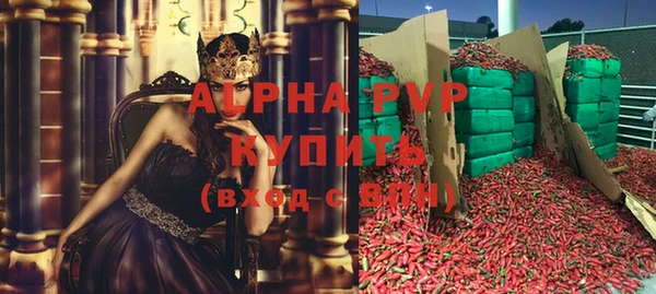 ECSTASY Кодинск