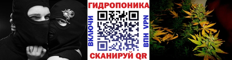Купить закладки  Заволжье  МАРИХУАНА гибрид 
